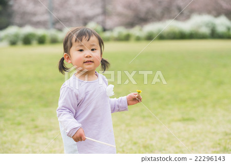 蒲公英的女孩 22296143