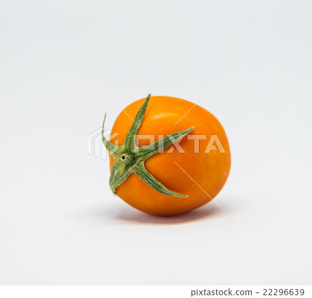 Fresh orange tomato with white background Fresh orange tomato with white background 22296639