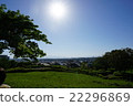 Town from the field 22296869