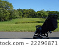 Walk in a baby stroller 22296871