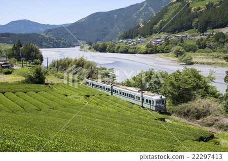大川鐵路和茶園 大川鐵路和茶園 22297413