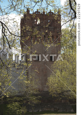 Novodevichiy monastery tower 22297829