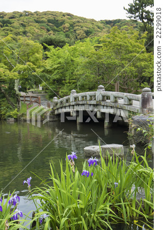 Maruyama Park Maruyama Park 22299018