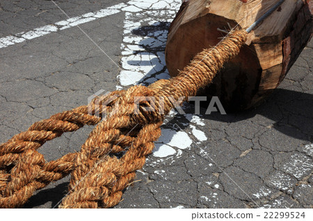 支柱節的繩索 22299524