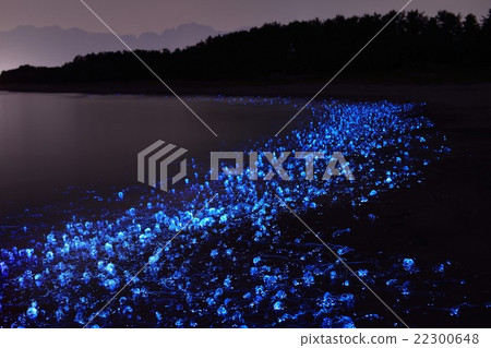 Hot throwing firefly Hot throwing firefly 22300648