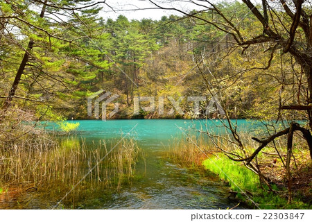 Fukushima · Gokikinuma 22303847