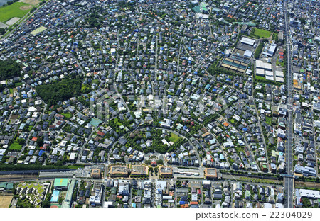 Suburban residential area / Around the Denenchofu 22304029