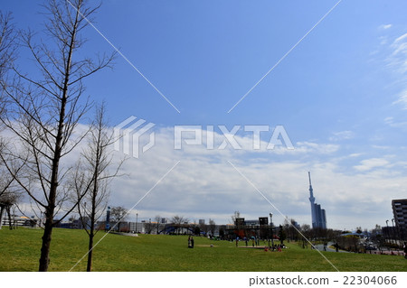 一個公園，在那裡你可以看到天空樹 22304066