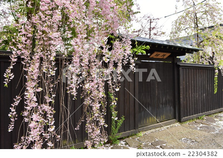 Akita prefecture · Kakunodate Akita prefecture · Kakunodate 22304382