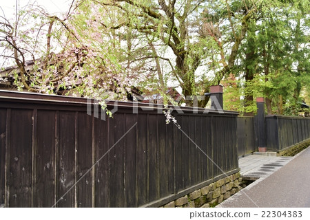 Akita prefecture · Kakunodate 22304383