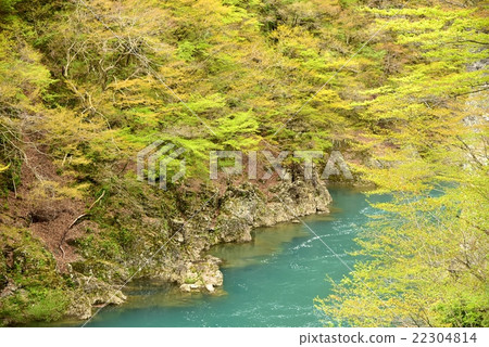 Akita Prefecture · Dolls Return Valley 22304814