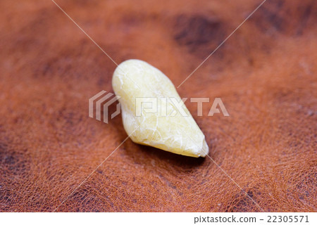 frankincense 22305571