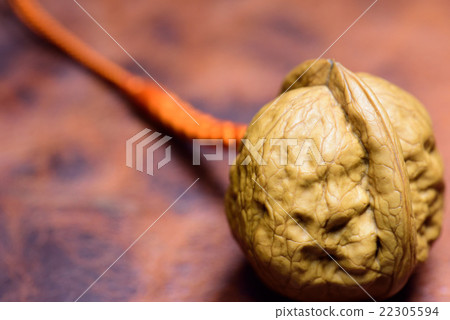 核桃的Netsuke 22305594