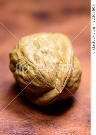 Walnut Walnut 22305608