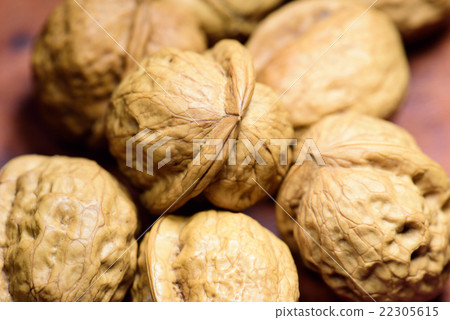 Walnut 22305615