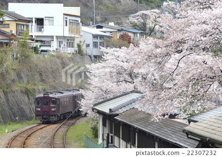Spring Watarase Valley Railway Spring Watarase Valley Railway 22307232