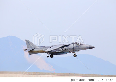 Harrier Harrier 22307238