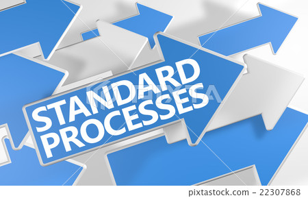 Standard Processes 22307868