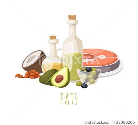 Good fats food vector illustration. Good fats food vector illustration. 22309200