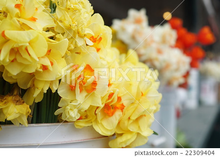 Florist store front Florist store front 22309404