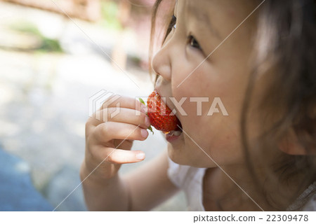 A girl who eats strawberries A girl who eats strawberries 22309478