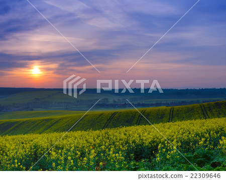 Spring rural sunrise Spring rural sunrise 22309646