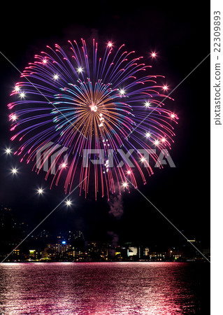 Lake Biwa New Fireworks Festival 22309893