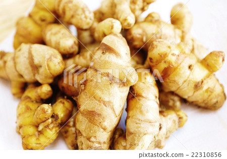 Medicated plants Health food · Turmeric whole rhizome up plural · solid horizontal position overhead 22310856