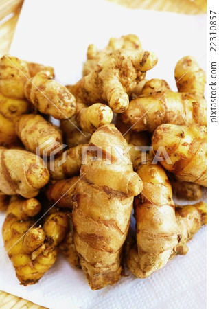 Medicinal plants Health food · Turmeric whole rhizome up plural · solid vertical position overhead Medicinal plants Health food · Turmeric whole rhizome up plural · solid vertical position overhead 22310857