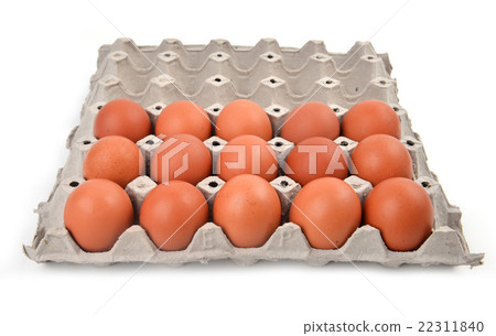 eggs in paper tray eggs in paper tray 22311840