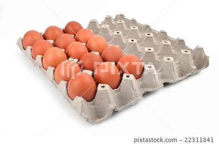 eggs in paper tray eggs in paper tray 22311841