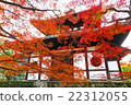 Kyoto of autumn leaves 22312055