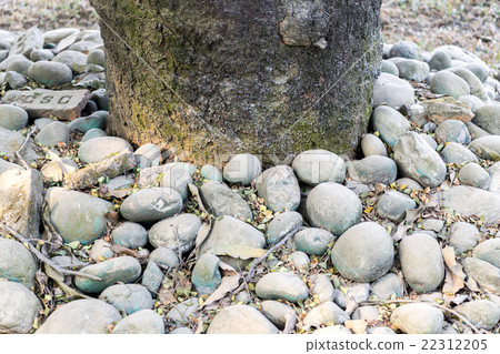 Stone background Stone background 22312205