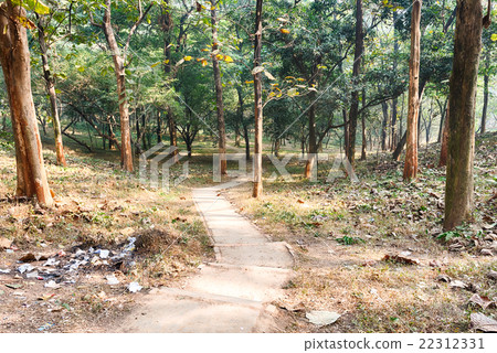 green path green path 22312331