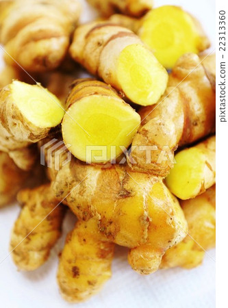 Medicated plants Health food · Multiple turmeric rootstocks and cut surface · White back vertical position up Medicated plants Health food · Multiple turmeric rootstocks and cut surface · White back vertical position up 22313360