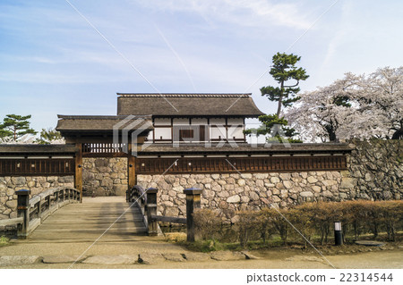 信州長野市松島松城城(海津城)太郎和櫻花 信州長野市松島松城城(海津城)太郎和櫻花 22314544