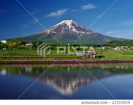 Fuji in the spring rural park Fuji in the spring rural park 22315059