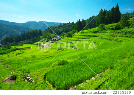 Kohara terraced rice fields in Kohara-cho, Kochi prefecture Kohara terraced rice fields in Kohara-cho, Kochi prefecture 22315139