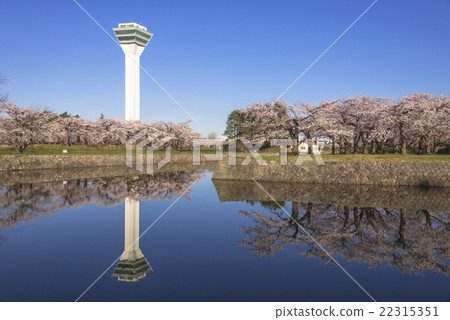 Goryokaku Tower reflected in the moat and cherry blossoms in full bloom Goryokaku Tower reflected in the moat and cherry blossoms in full bloom 22315351
