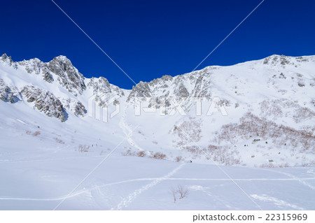 Winter's Central Alps Senjyojiki curl Winter's Central Alps Senjyojiki curl 22315969