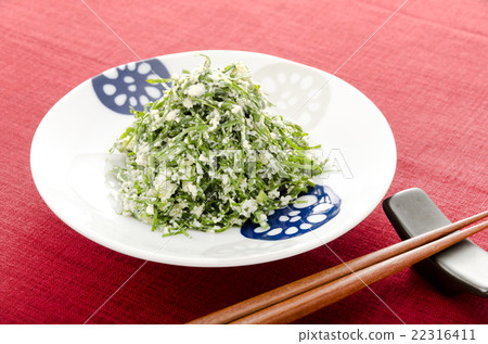 白女士的臉 白女士的臉 22316411