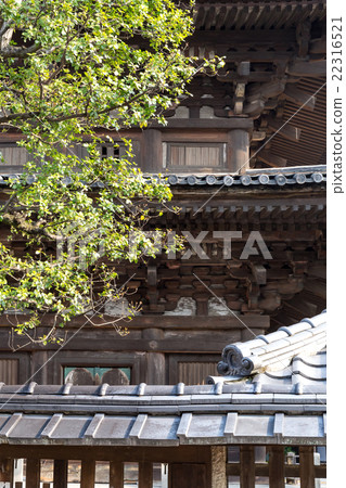 Tower of Yasaka Tower of Yasaka 22316521
