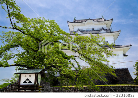 Odawara Castle Odawara Castle 22316852