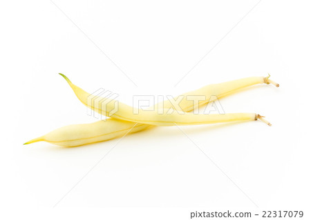 Yellow Wax Beans: Yellow Wax Beans Yellow Wax Beans: Yellow Wax Beans 22317079