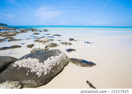 Beach and tropical sea at Koh kood island,Thailand 22317925