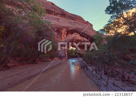 Coyote Buttes 22318657