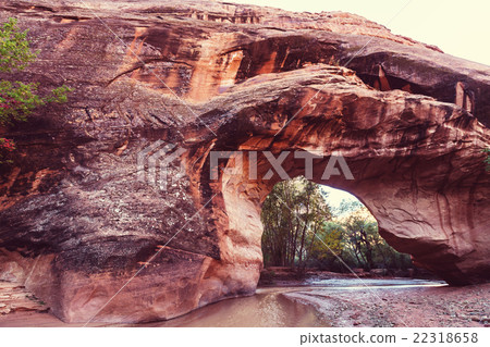 Coyote Buttes 22318658