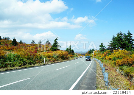 Drive way of Kurikoma Kogen 22319434
