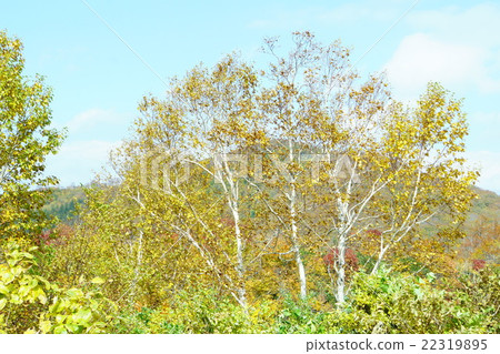 高原的隕落 高原的隕落 22319895