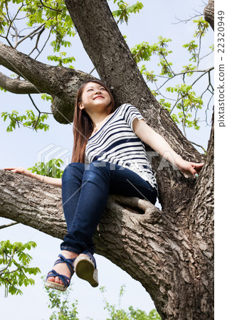 Girls who climb trees happily Girls who climb trees happily 22320949